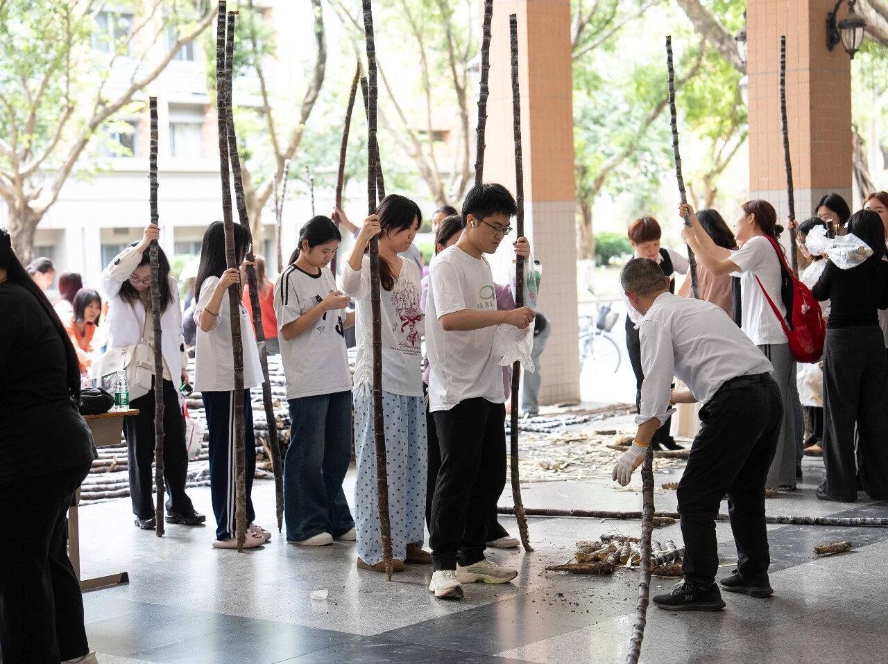 微信图片_2026-03-20_161234_072.jpg 金贝娱乐城