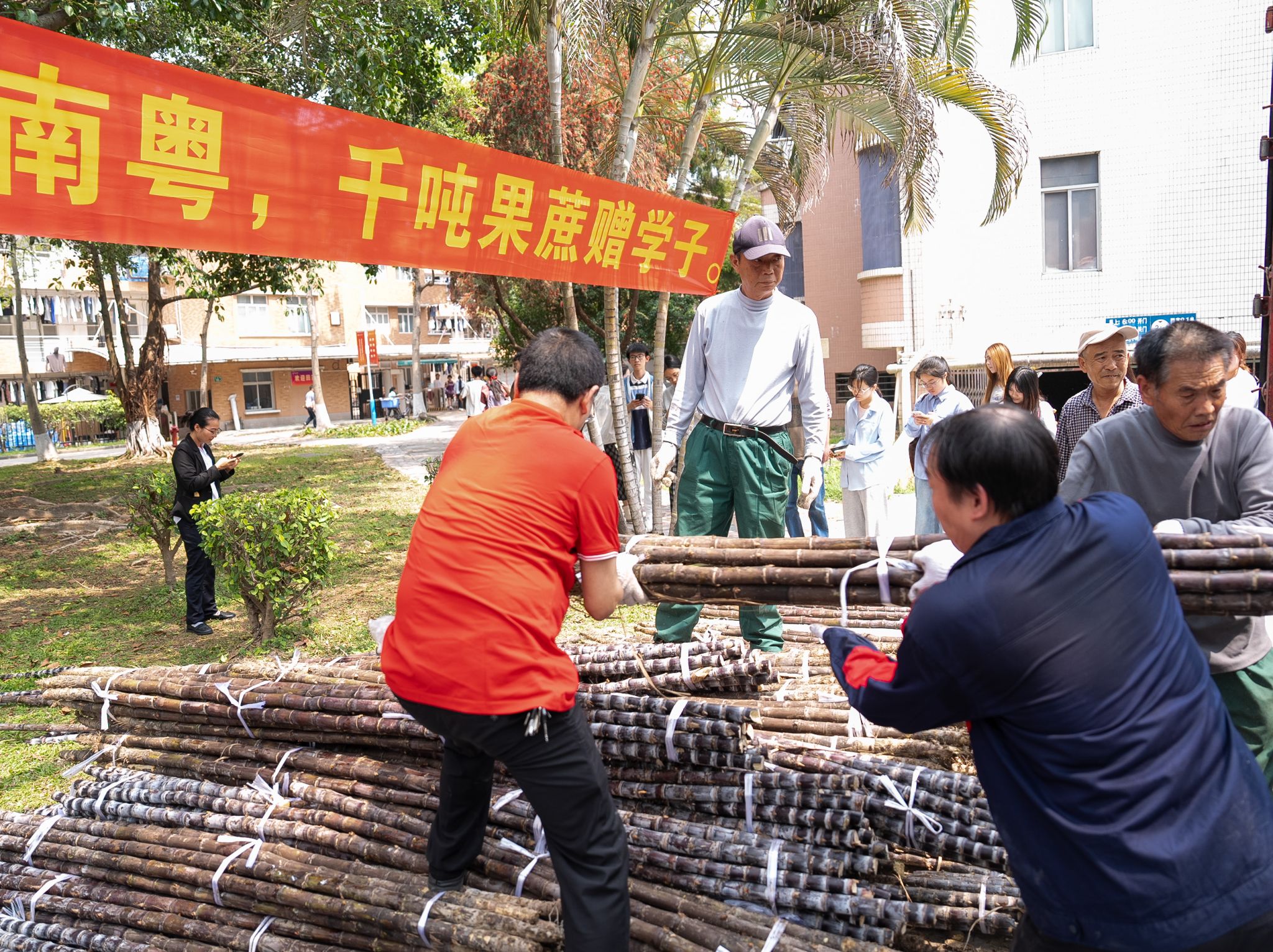 DSC00031.jpg 金贝娱乐城