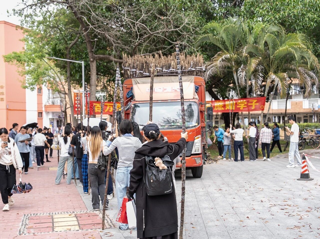 微信图片_2026-03-20_161223_899.jpg 金贝娱乐城