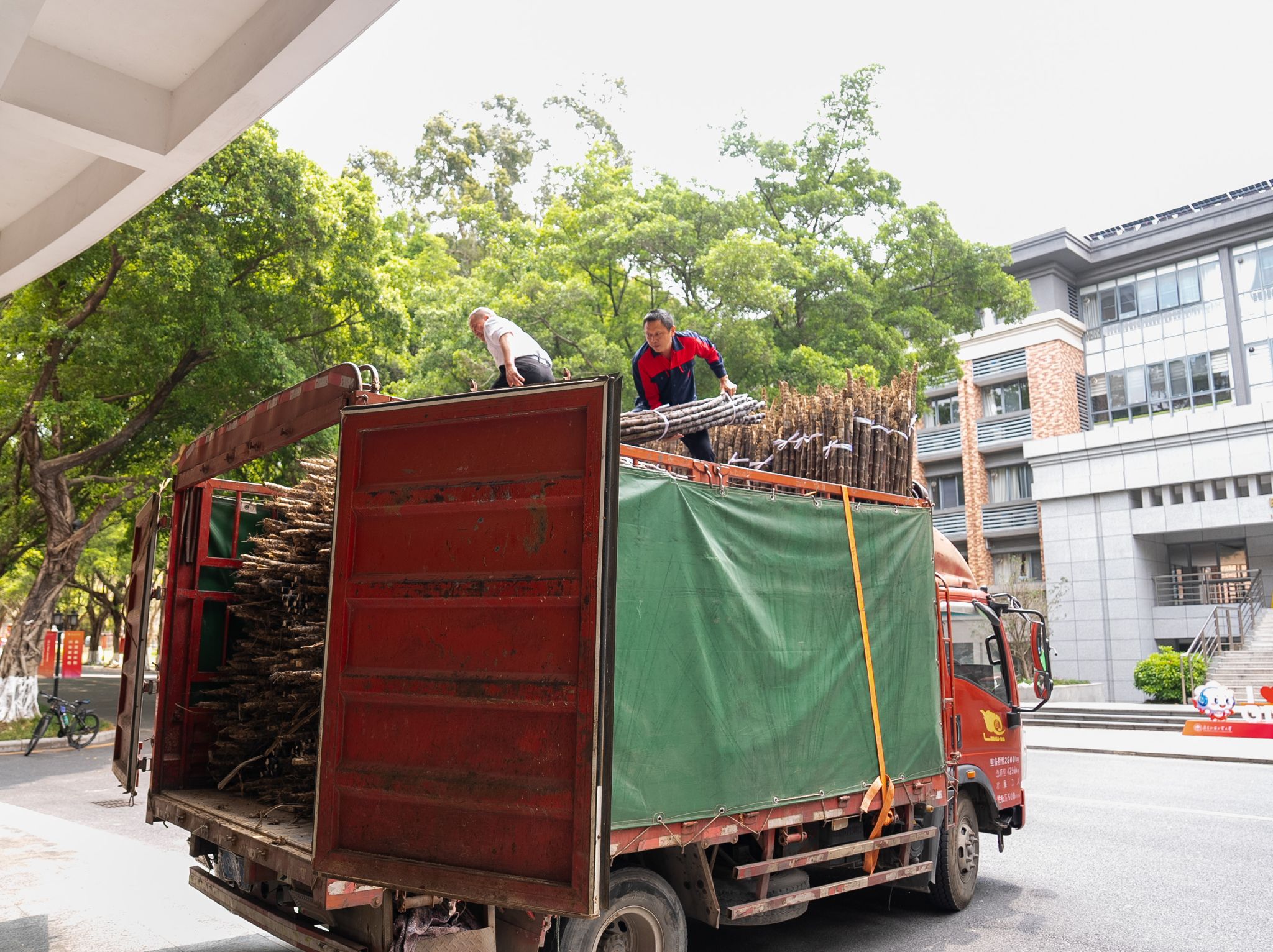 DSC09314.jpg 金贝娱乐城