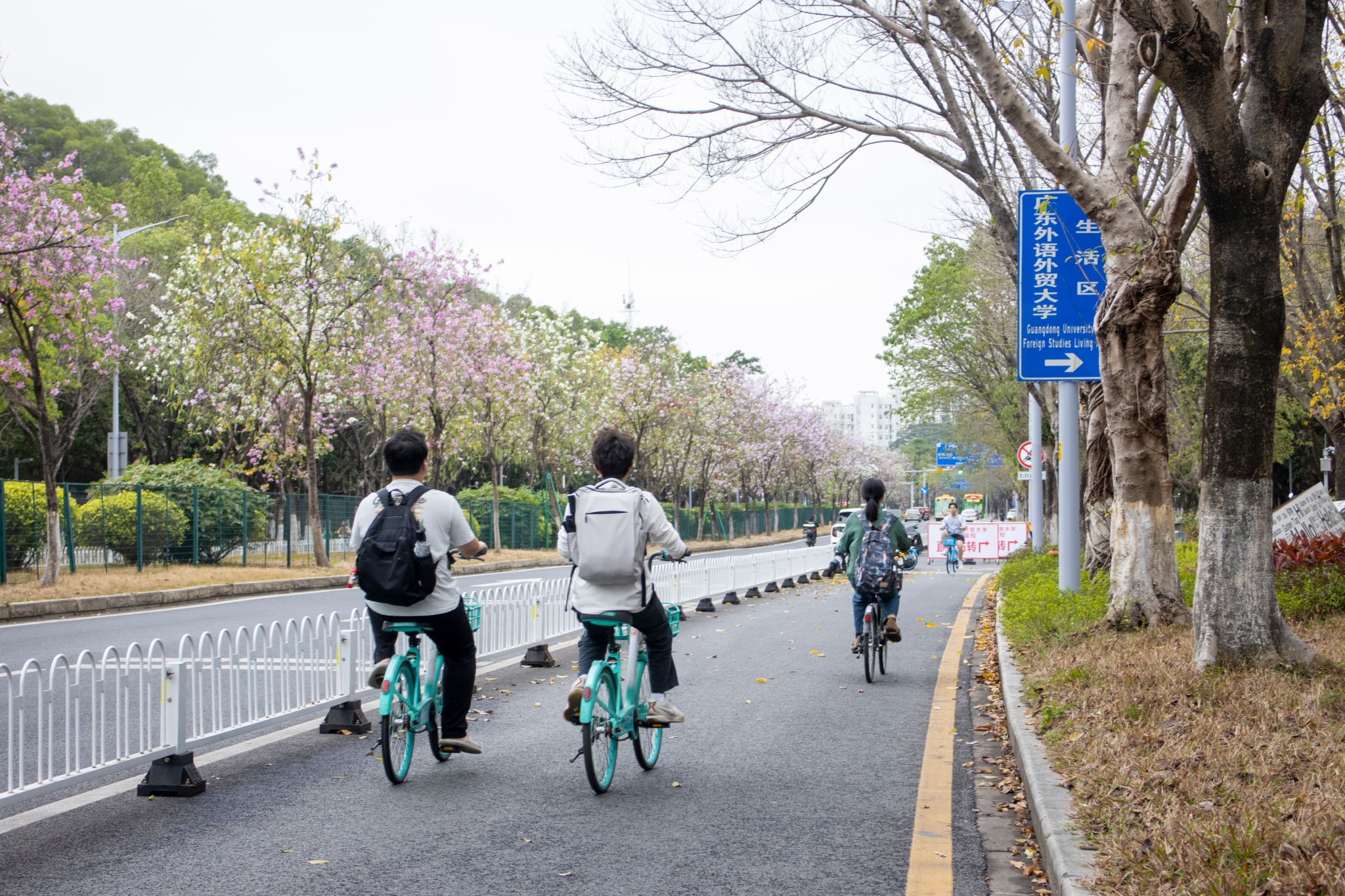 返校路1.jpg 金贝娱乐城