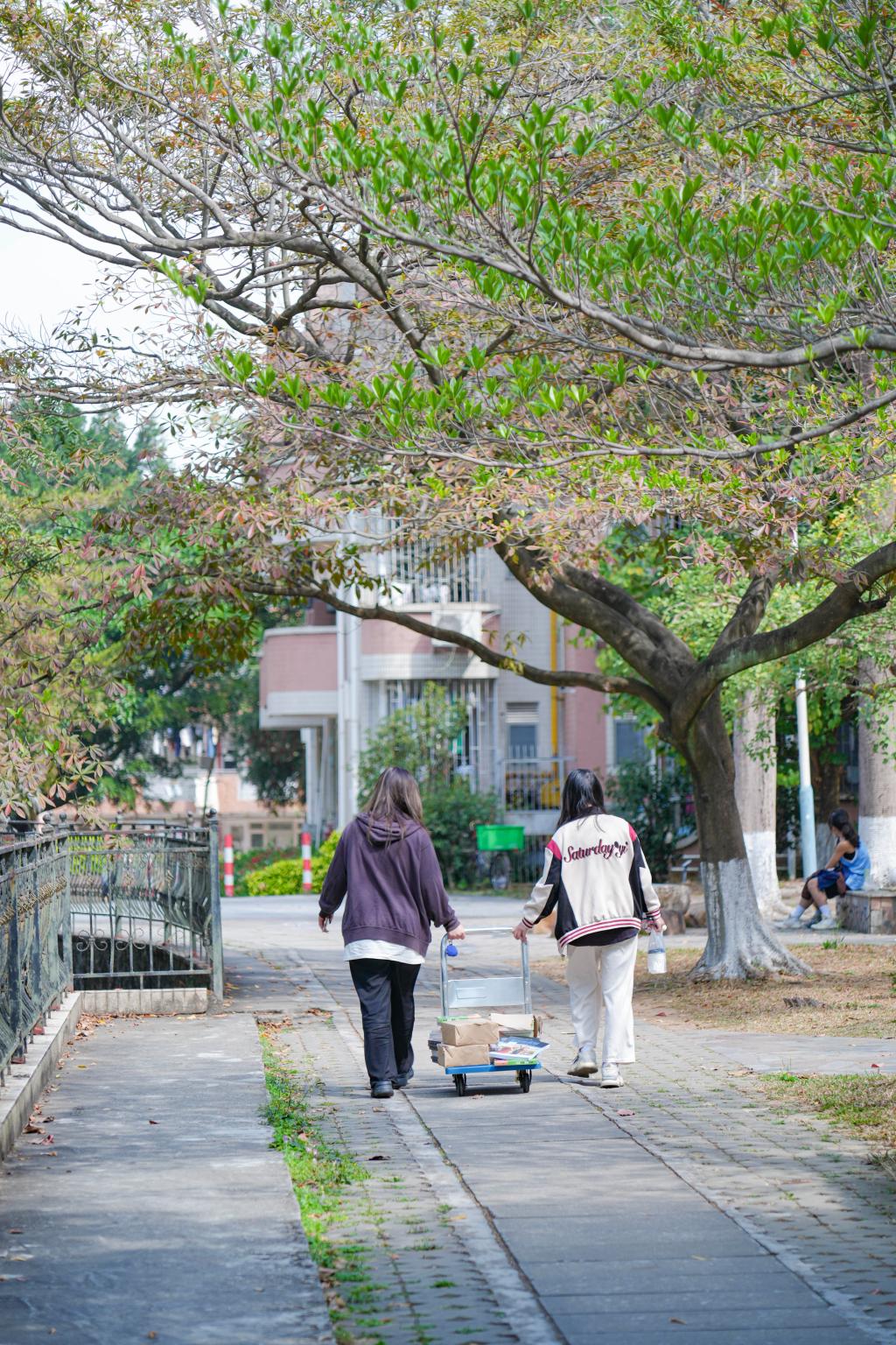 1-9.jpg 金贝娱乐城