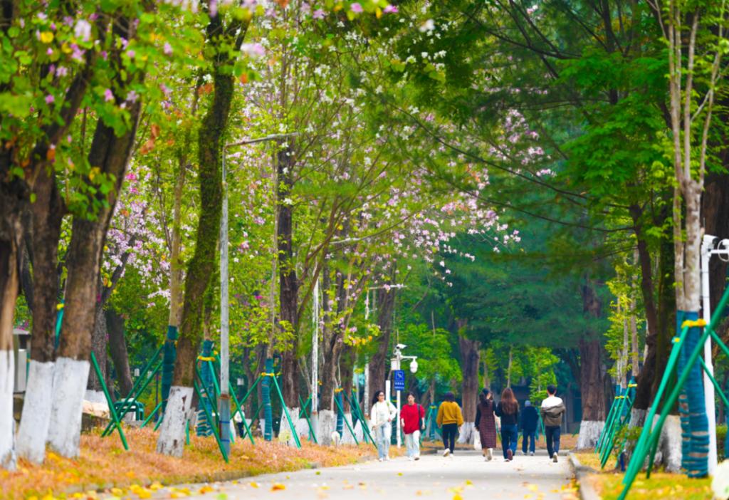 3.png 金贝娱乐城