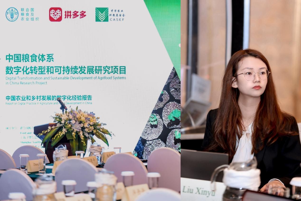 金贝娱乐城