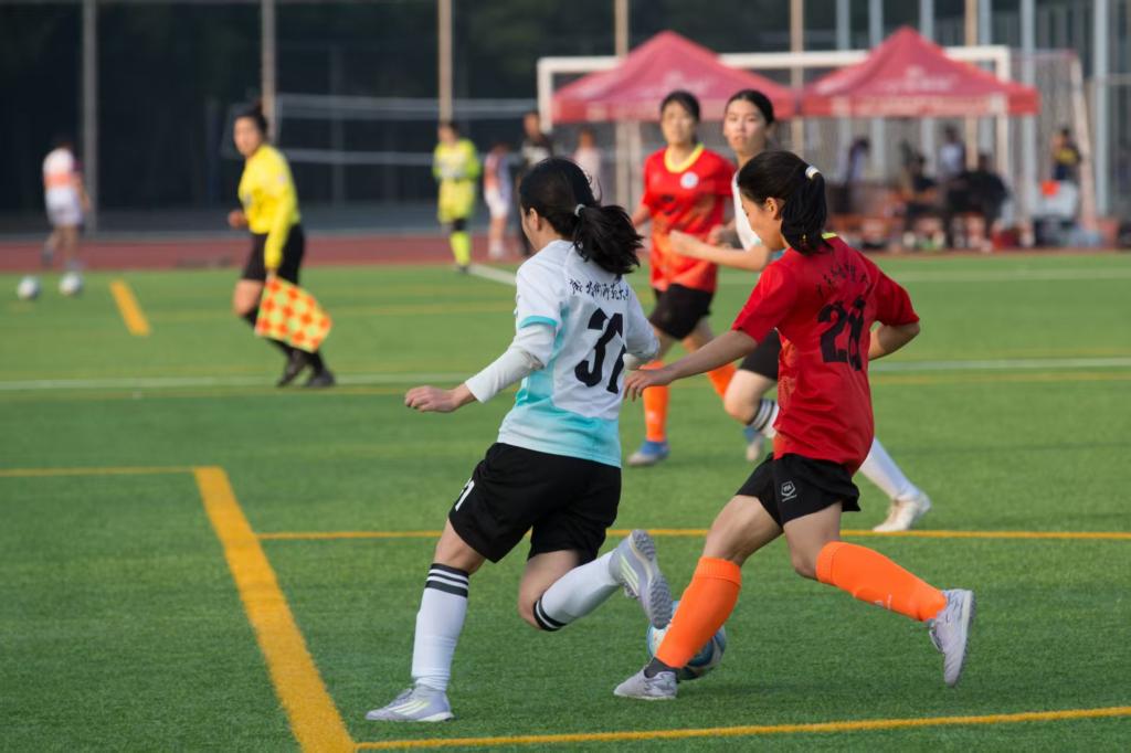 13.jpg 金贝娱乐城