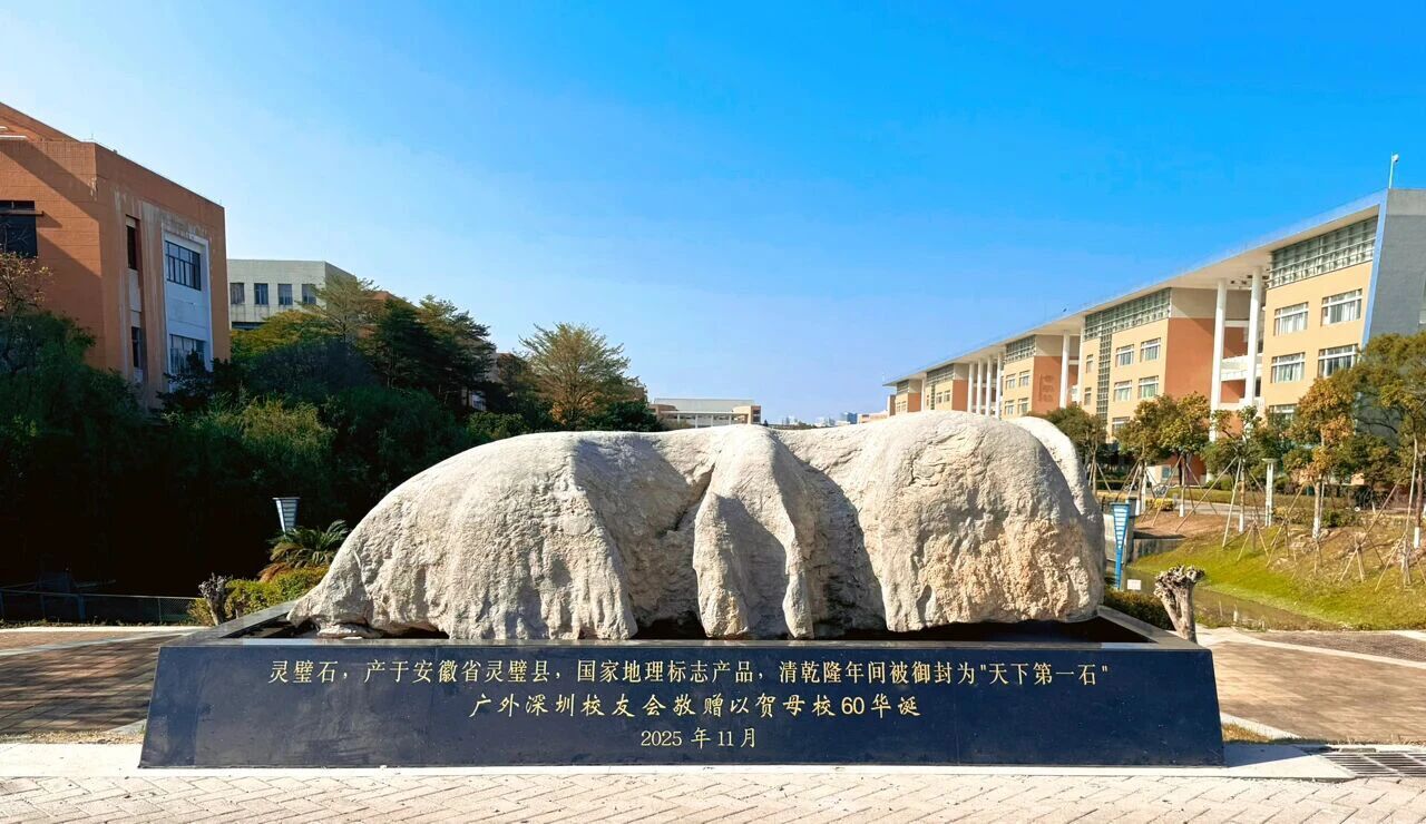大学城校区灵璧石.jpg 金贝娱乐城