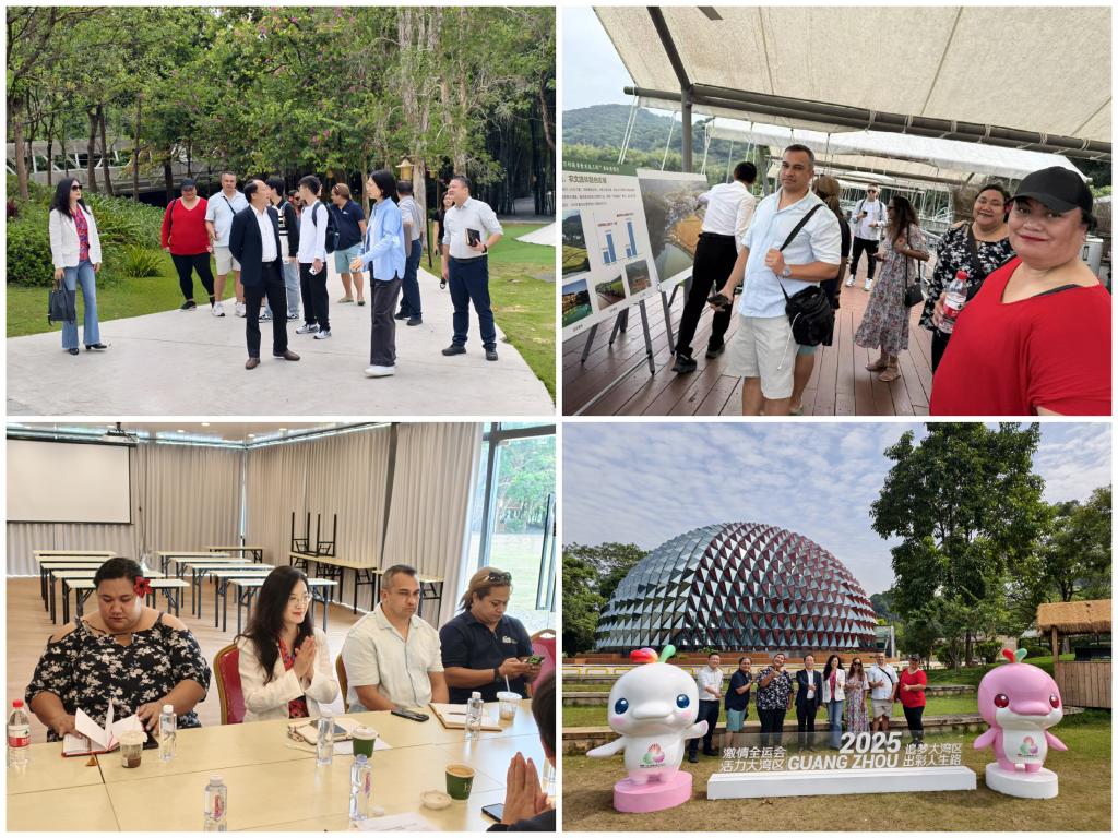 Collage_Fotor1.jpg 金贝娱乐城