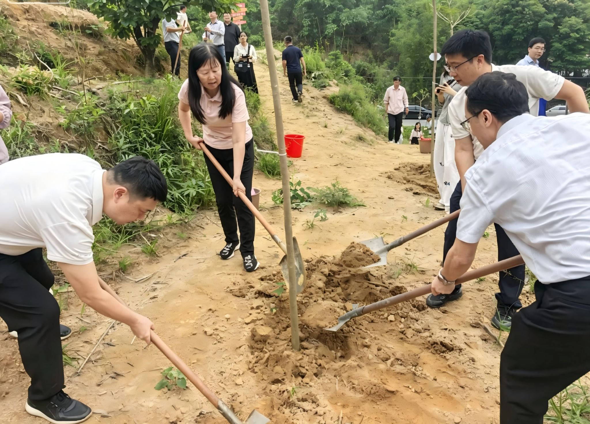 微信图片_20260508162433_192_21.jpg 金贝娱乐城