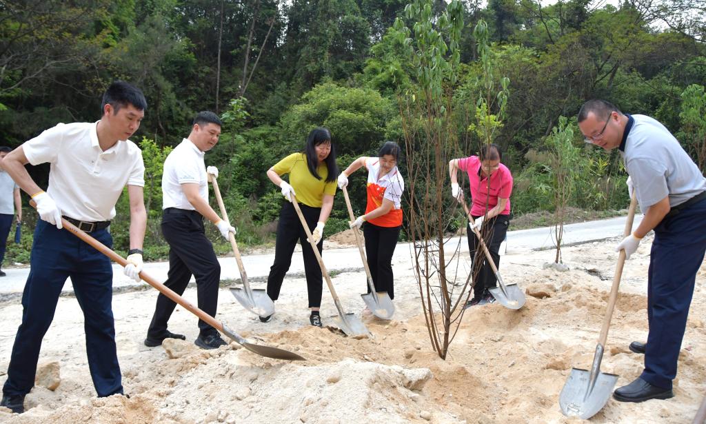 DSC_2294.JPG 金贝娱乐城