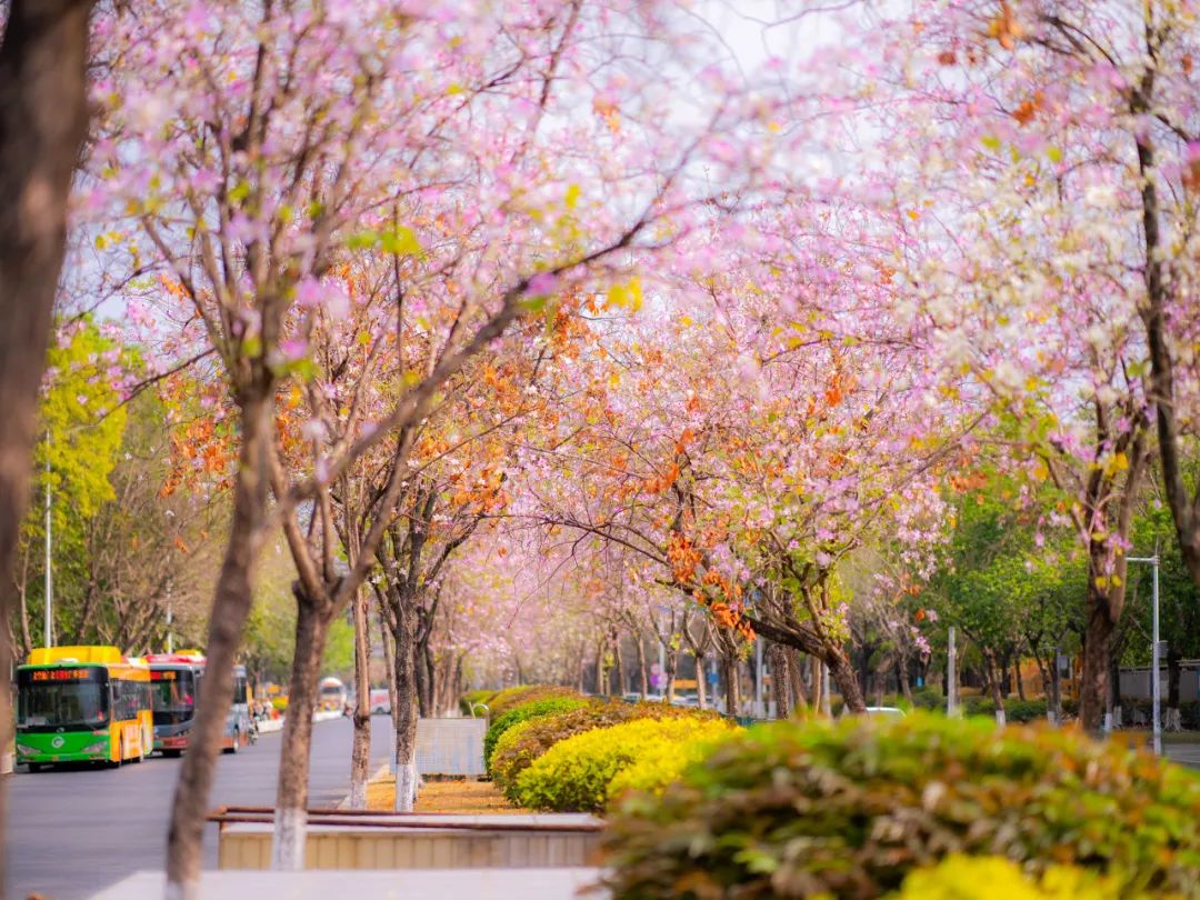 春和景明.jpg 金贝娱乐城
